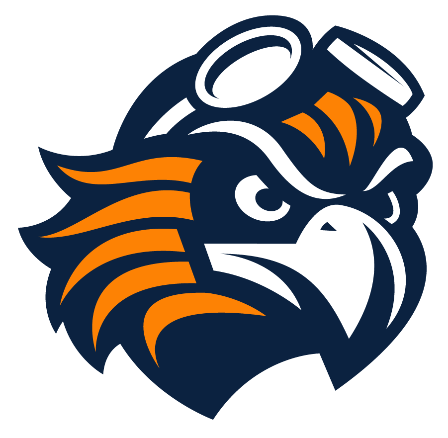 Tennessee-Martin Skyhawks 2020-Pres Alternate Logo v3 diy iron on heat transfer